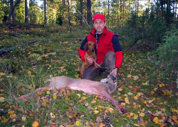 Ajometsästystä - deer hunting