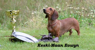 Keski-Maan Eowyn