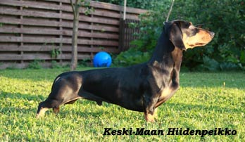Keski-Maan Hiidenpeikko