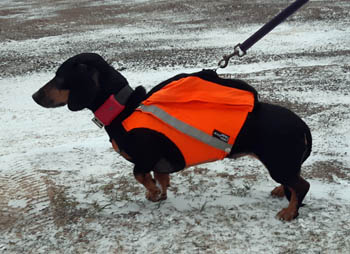 Keski-Maan
                                                          Vaeltaja