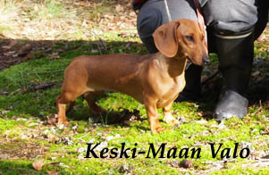 Keski-Maan Valo