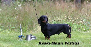 Keski-Maan Valtias